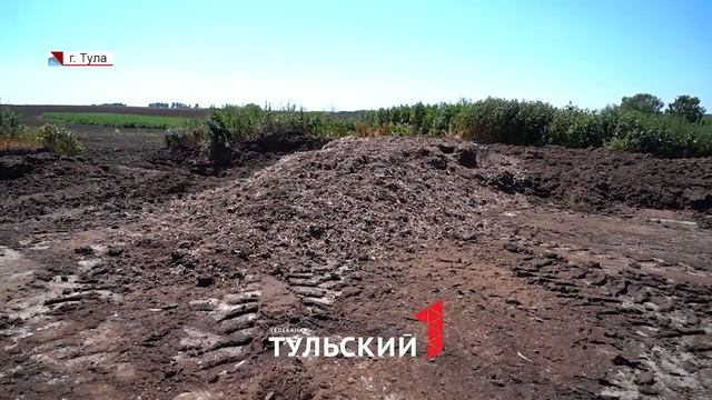 Центральную Россию атакуют полчища мух смотреть онлайн
