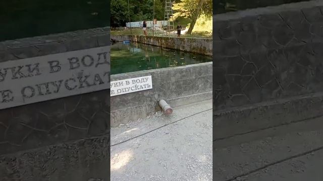 кафе "Саусрыко" г. Сочи видео обзор смотреть онлайн