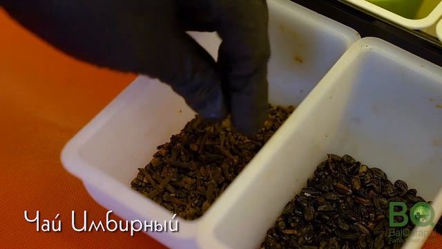 Зона отдыха "Bal Qaragay"_Чай Имбирный смотреть онлайн