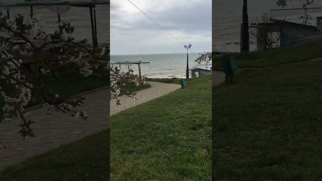 Коблево и Южный 16.04.2023 смотреть онлайн