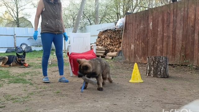 Дик Найт Эль'Тайм Ликан смотреть онлайн