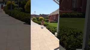 Египет Шарм-эль-Шейх Отель Pickalbatros laguna club resort 4*
