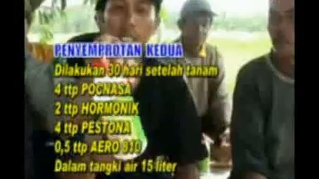 PUPUK SUPER NASA UNTUK TANAMAN PADI KALIMANTAN смотреть онлайн