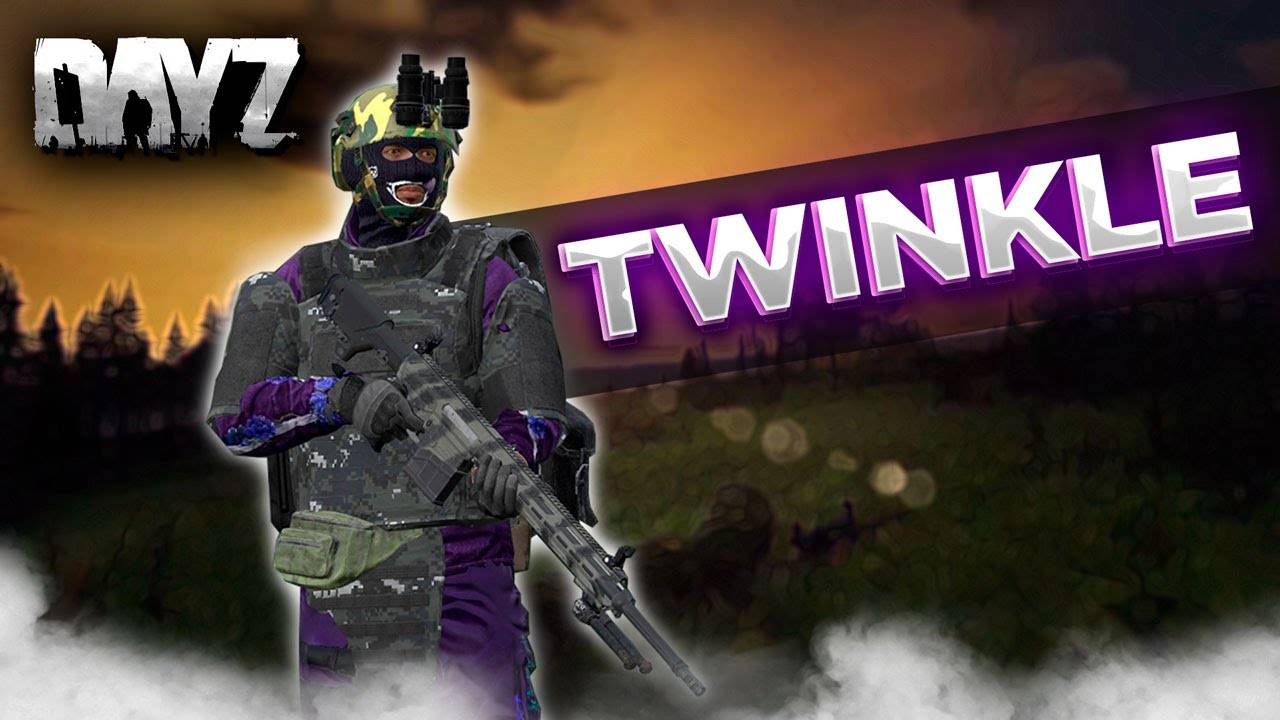 Сервер- DayZTWINKLE Play | PVE | MOD | Chernarus ...