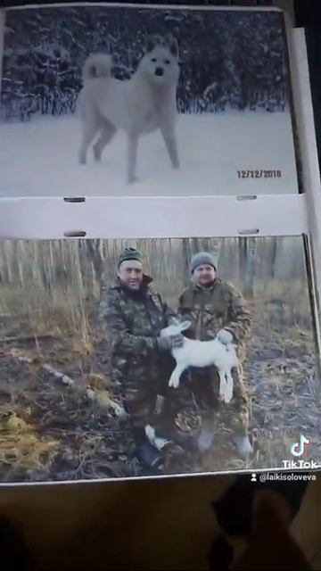 С праздником дорогие друзья #Shorts смотреть онлайн
