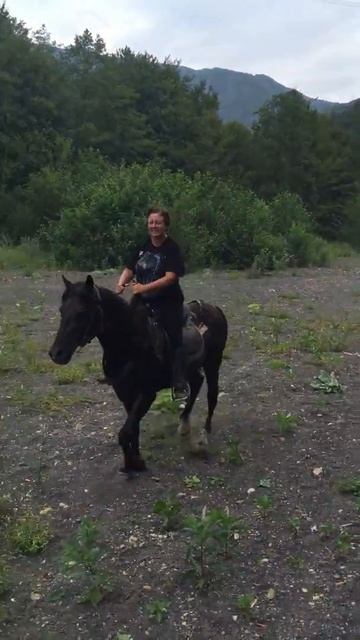 Конные прогулки(1) смотреть онлайн