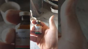 Понос у кроликов 100% средство!