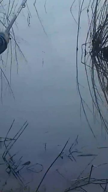 Река Белая рыбалка май 2017 смотреть онлайн