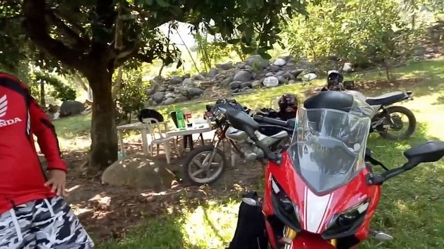 reseña TVS APACHE 310 Y BMW G310R смотреть онлайн