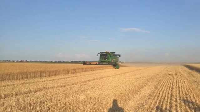 Уборка семенной пшеницы смотреть онлайн