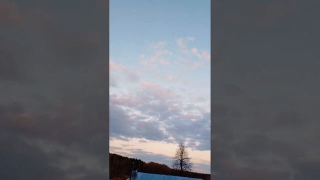 Пение Соловьёв в Смоленской области 23 апреля смотреть онлайн