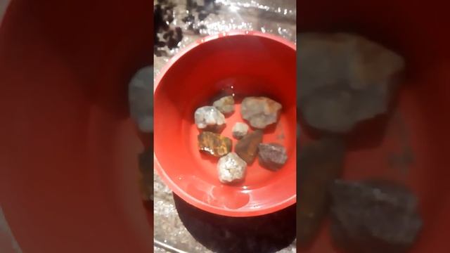 Lavando minerales ,plata pirita, oro, ácido muriático смотреть онлайн