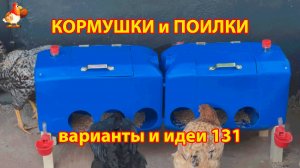 Бункерная кормушка из канистры и автопоилка с чашечкой понравилась курам несушкам