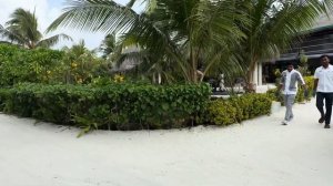 МАЛЬДИВЫ. COCOON MALDIVES. ПЛЮСЫ И МИНУСЫ РЕЗОРТА. ПОСЛЕДНИЕ ДНИ НА ОСТРОВЕ.