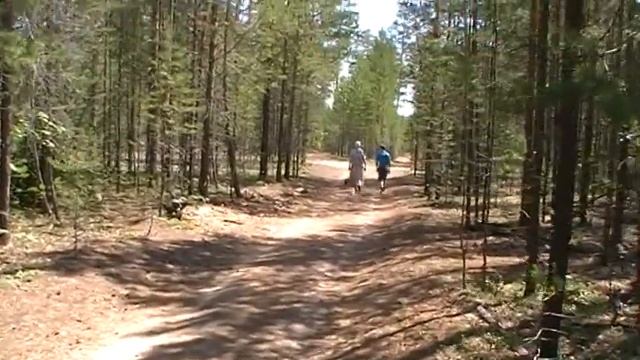 ЛесИюнь2020Янгель смотреть онлайн