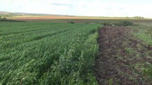 Дискуем на ХТЗ 17221