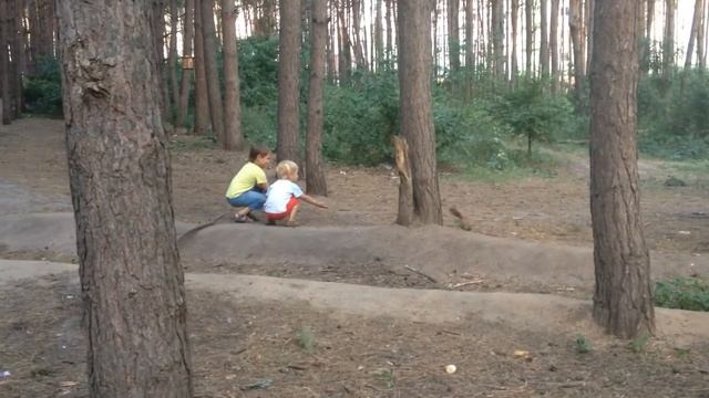 Наш лесок возле дома смотреть онлайн