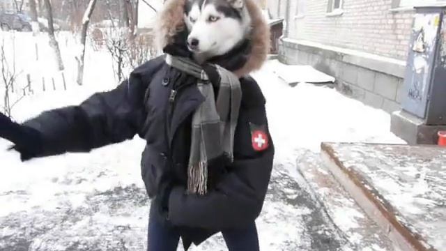 Она существует...................Челобака!!!!!!.480.mp4 смотреть онлайн