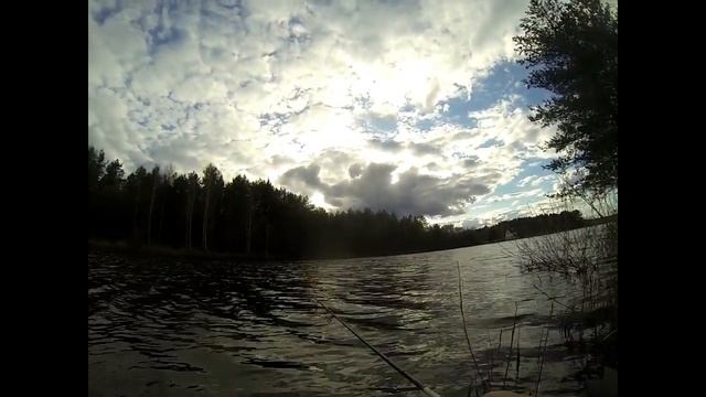 Щарка 25 04 2020 смотреть онлайн