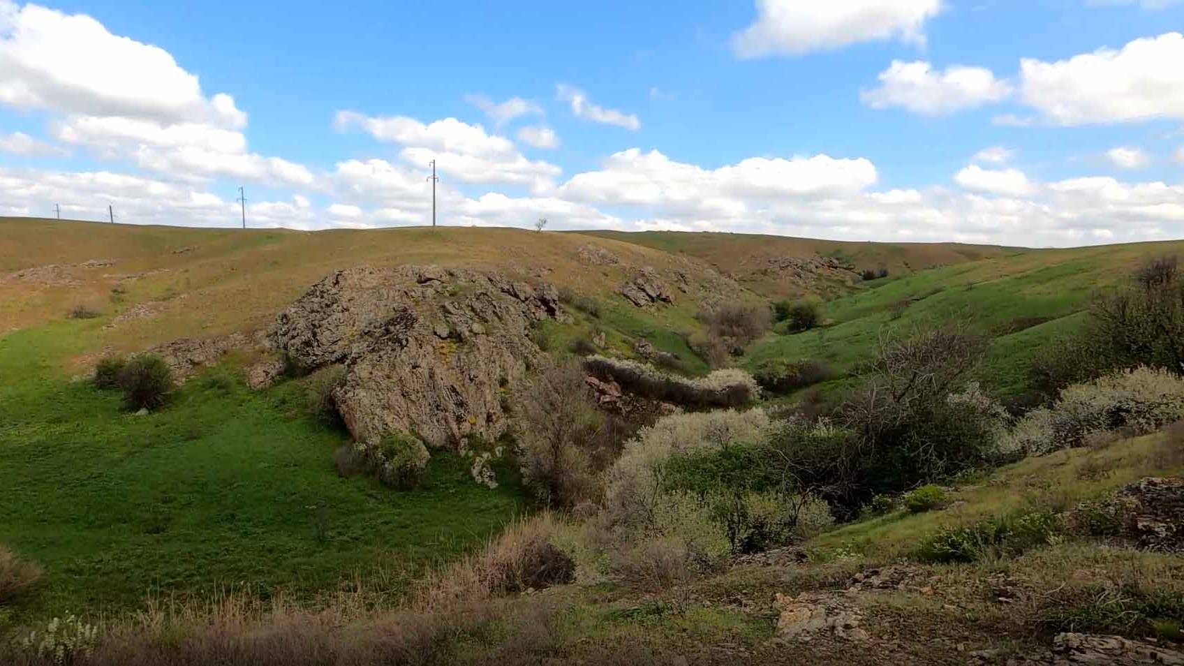 Природный заказник "Староласпинский". ДНР смотреть онлайн