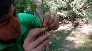 Humson buloq sanatoriyasi Хумсон булок санатория