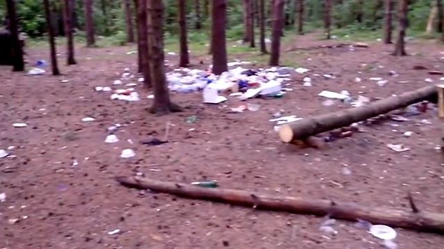 VID 20150615 203148 смотреть онлайн