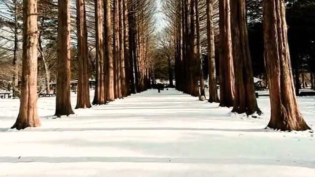 Молитва Облечена във Хваление гр.Смядово 2018 смотреть онлайн