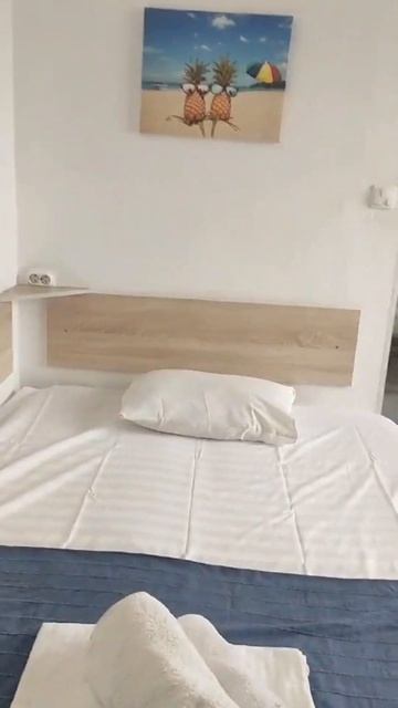 Студия 1 посуточно в Сириусе Сочи смотреть онлайн