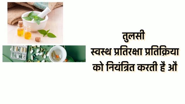 Himalaya Tulasi Tablets Benefits | Tulsi Tablets Uses In Hindi | Tulsi Tablets Full Details смотреть онлайн