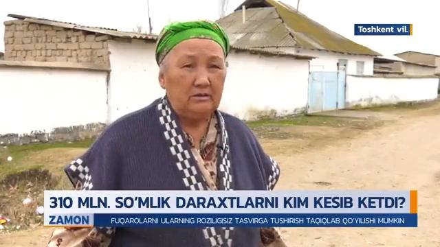 310 millionlik daraxtlar kesib ketildi. смотреть онлайн