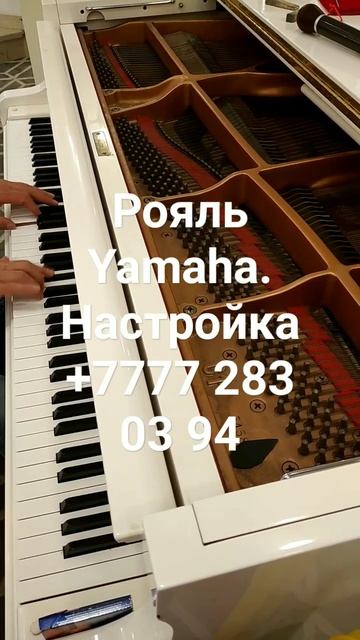 Гостиница Казахстан смотреть онлайн