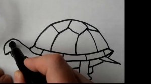 Как нарисовать черепаху, черепашку, легко и просто