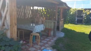 💥Соль Илецк 2024💥 Обзор съёмного жилья 💥 Отдых💥