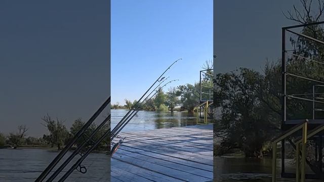 Отдых и рыбалка на базе Трофеи Пирса. Астраханская область Камызякский район. Май 2024 г.