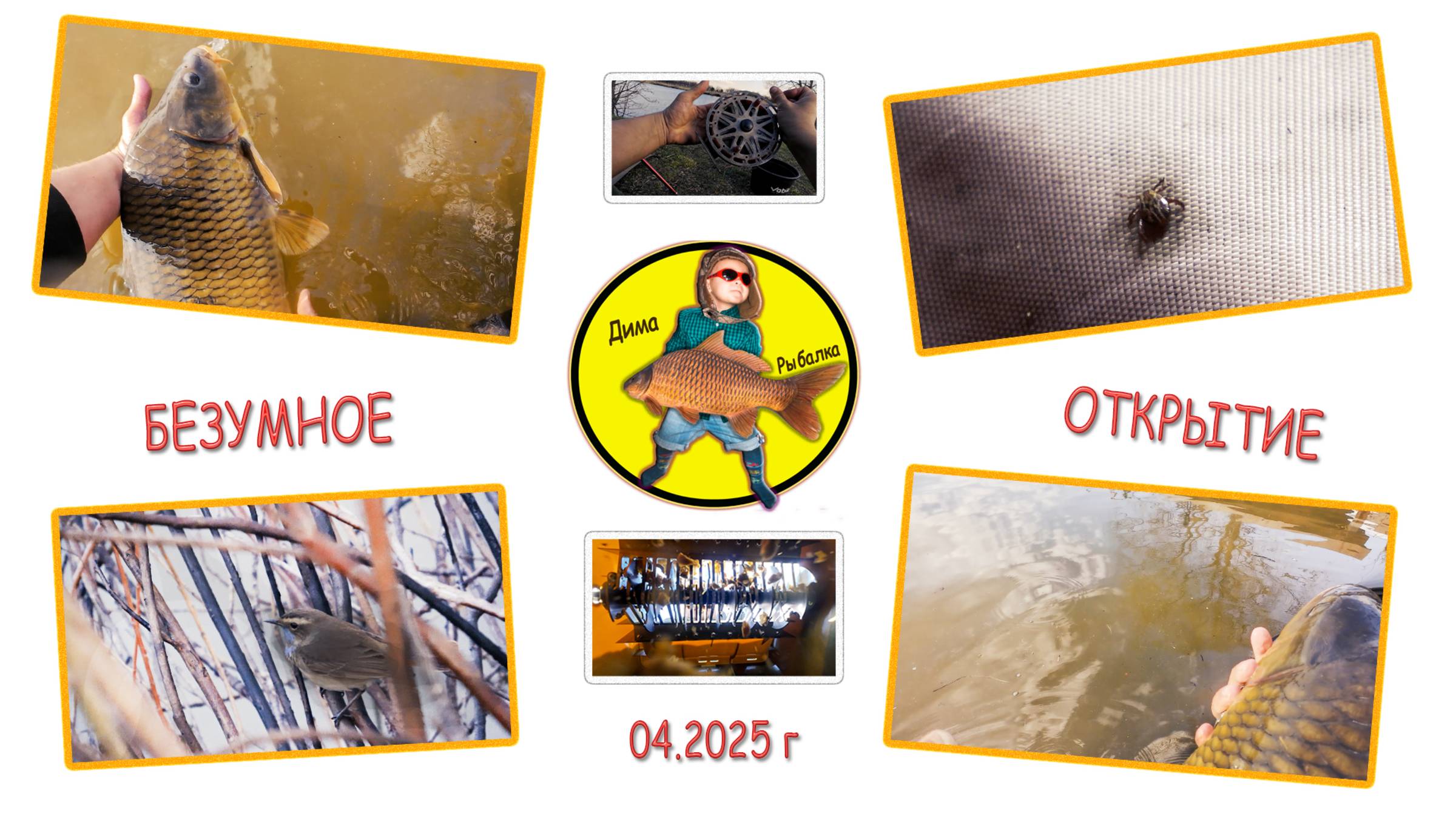 Безумная ловля карпа по холодной воде смотреть онлайн