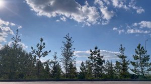 ОБЗОР И ВЛОГ: MINGER MED SPA 5* | САМЫЙ ДОРОГОЙ ОТЕЛЬ В ТАТАРСТАНЕ