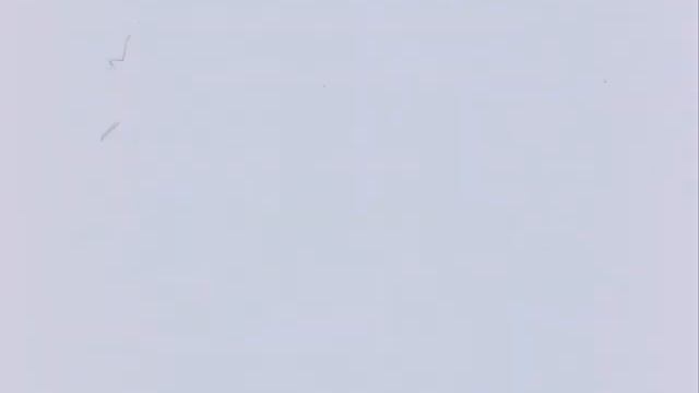 Mode-Art Can 2799 R1 (silent) смотреть онлайн