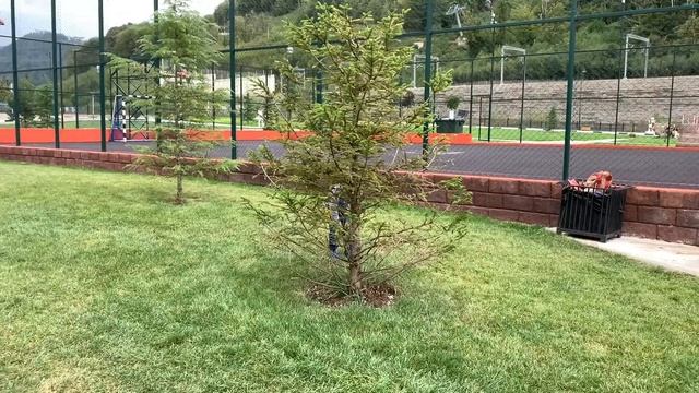 Море Горы и снова Море смотреть онлайн