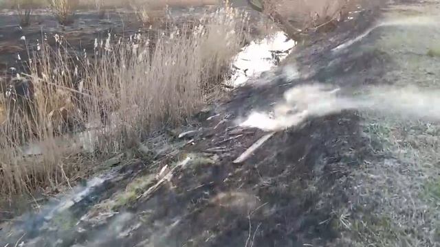 Полесск ТВ.Онлайн. смотреть онлайн