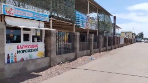 Балхаш 2024.д/OASIS.ОБЗОР.