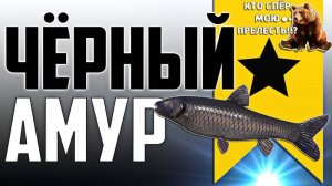 ═══ РУССКАЯ РЫБАЛКА 4 ═══