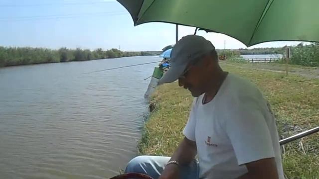 Кубок "Дашкиных Прудов" 10.08.14. смотреть онлайн