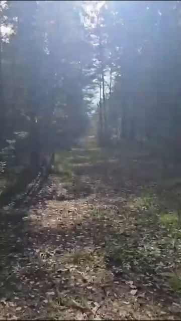 Это наш любимый Алтайский край! смотреть онлайн