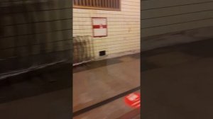 На поезд посадки нет. Станция Университет