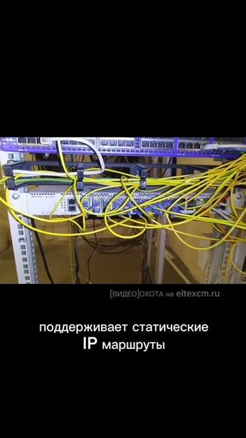 Коммутатор агрегации MES3324F Eltex. Видео[Охота] на eltexcm.ru