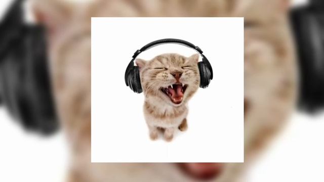 Bigger Better Stronger Donald Tpump Remix – //speed Up\\