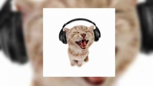 Bigger Better Stronger Donald Tpump Remix – //speed up\\