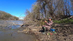 В ЭТОМ МЕСТЕ РЫБЫ МНОГО. ХОД ВОБЛЫ. Рыбалка на поплавок. Весенняя рыбалка на поплавочную удочку.