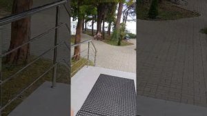 Абхазия.Гагра.Отель Жоэквара