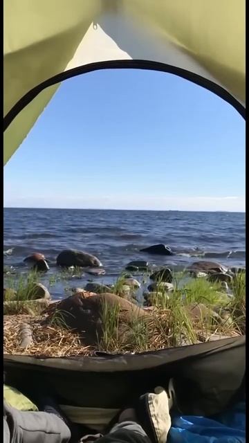 Сейчас бы с палаткой на берег озера и тепло, а не вот это вот все смотреть онлайн